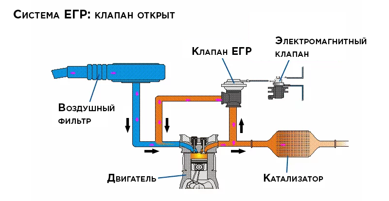 как работает ЕГР